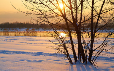 Winter landscape with snow covered tree branches