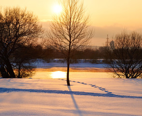 Winter landscape with snow covered tree branches