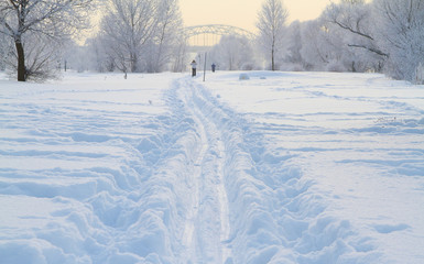 Winter landscape with snow covered tree branches