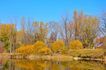 Water Reflected Autumn Colors