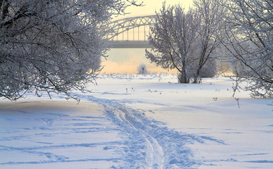 Winter landscape with snow covered tree branches