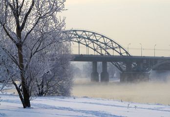 Winter landscape with snow covered tree branches