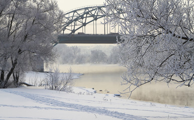 Winter landscape with snow covered tree branches