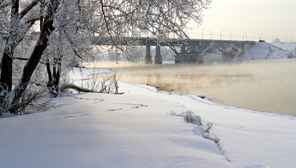 Winter landscape with snow covered tree branches