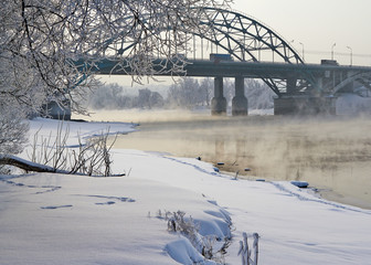 Winter landscape with snow covered tree branches