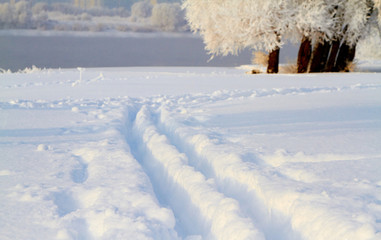 Winter landscape with snow covered tree branches