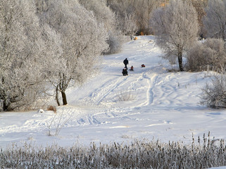 Winter landscape with snow covered tree branches