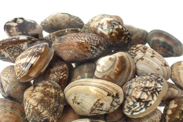 あさりの砂だし