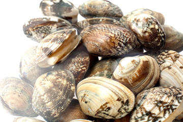 あさりの砂だし