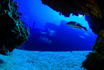  shot taken of the USS Kittiwake. The sunken shipwreck in this angle has been captured from underneath the nearby reef to create a cool framing effect.