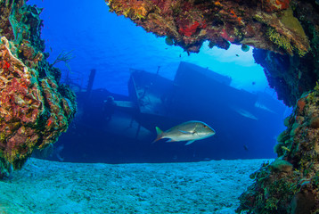  shot taken of the USS Kittiwake. The sunken shipwreck in this angle has been captured from underneath the nearby reef to create a cool framing effect.