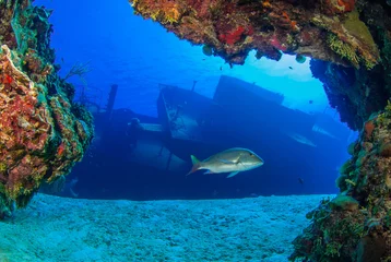 Foto op Canvas  shot taken of the USS Kittiwake. The sunken shipwreck in this angle has been captured from underneath the nearby reef to create a cool framing effect. © drew
