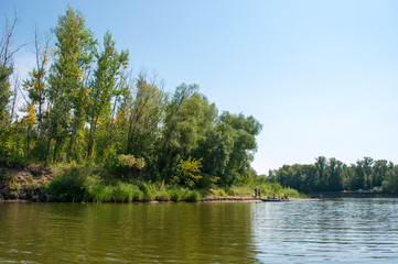 Fototapeta na wymiar River bank with variety of trees