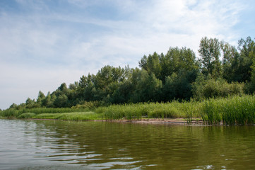 Fototapeta na wymiar Calm river with trees and tall grass on the bank
