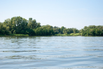 View from calm river to its bank with trees and bushes