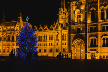Fototapeta na wymiar Christmas Tree In Front Off Parliament Building, At Kossuth Square, Budapest, Hungary