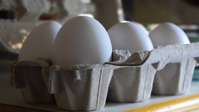 Uova fresche ft9109_0346 Huevos frescos