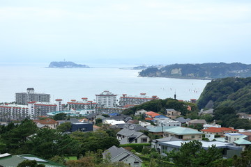 Fototapeta premium 披露山公園から望む逗子マリーナと江の島