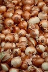 Früchte, Gemüse, Fruits, Lemon, Knoblauch, Tomaten, Zwiebel, Apple, Apfel