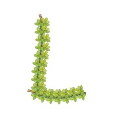 NATURE design patterns for clothes and home wallpaper hd