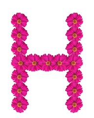 Nature made shape pattern design wallpaper hd