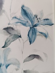 white flowers on blue background