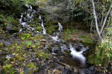Naklejka na ściany i meble Autumn forest stream