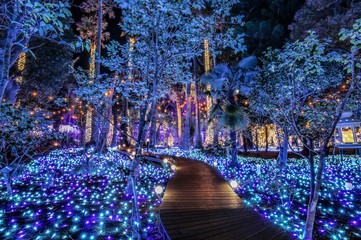 winter illuminations