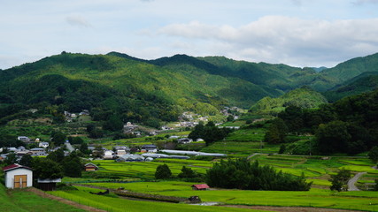 Fototapeta na wymiar 稲渕の棚田