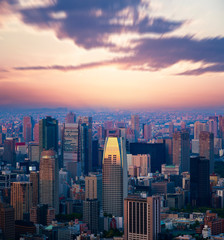 Tokyo cityscape with beautiful sunset sky at dusk.