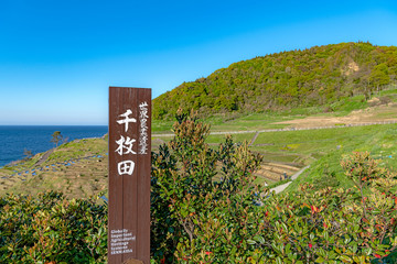 世界農業遺産 能登 白米千枚田