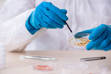 Young male chemist working in the lab