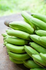 1 bunch of green bananas