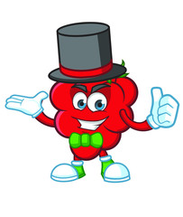 magician Raspberries Mascot character design vector