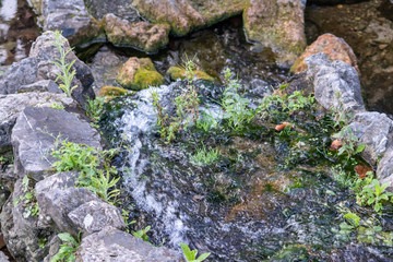 Renaturierter Fluss oder renaturierter Bach fließt mäandrierend durch Felsen mit Stromschnellen und Kehrwasser zur Freude der Tiere und Pflanzen in der Natur