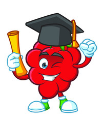 education character with graduate hat Raspberries Mascot  design vector