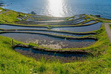 世界農業遺産 能登 白米千枚田