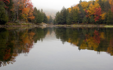 Reflection of colorful forest in lake surface in the overcast day
