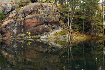 Reflection of colorful forest in lake surface in the overcast day.