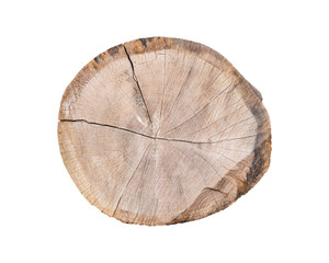 Tree stump withh natural pattern isolate on white background, wood log cut, natural wood log texture