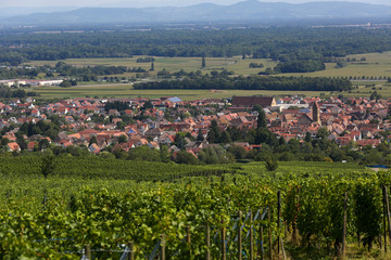 Naklejka premium the old town of Eguisheim