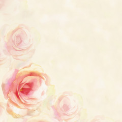 Greeting card with light roses  on hazed  background in pastel colors