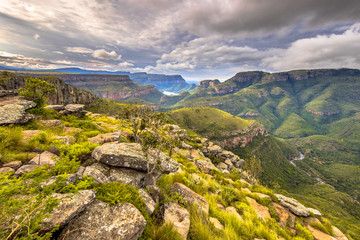 Natural vegetation Blyde river canyon