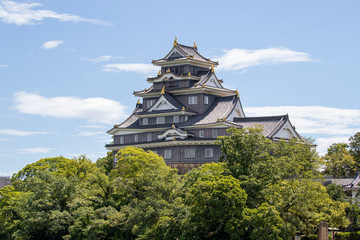 This is a Okayama Castle