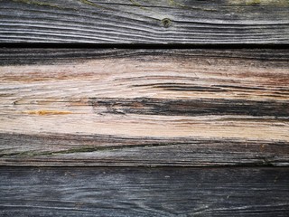 Old wood plank for background