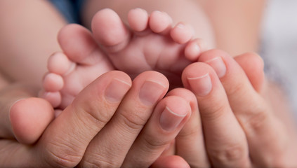 Obraz na płótnie Canvas Mother's hands carefully keeping baby's foot