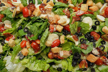 Close-up on Fresh Green Salad Background