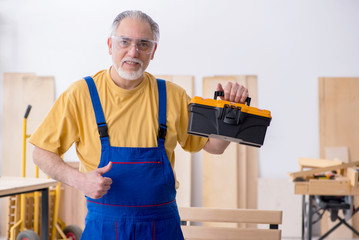 Old male carpenter working in workshop