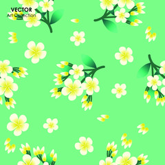 Plumeria flower Seamless pattern, Vector illustration design element