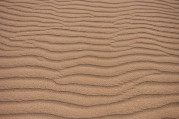 Fototapeta na wymiar Wild empty beach and dunes. Sand. La Guajira, Colombia